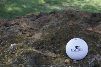 2011_BSAR_Golf