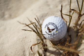 2016_BSAR_golf_0020