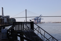 2025_BSAR_Savannah
