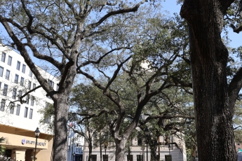 CAM14006