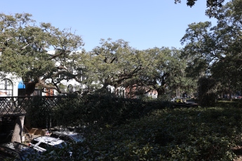 CAM14009